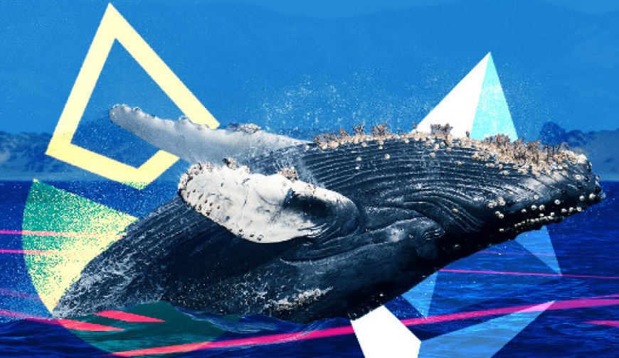 Whales thu về 101 triệu USD (~84,131ETH) thanh khoản ETH từ Curve Finance khi stETH giảm giá