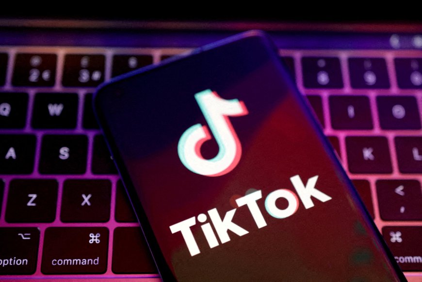 Thực tập sinh gây thiệt hại 10 triệu USD cho TikTok