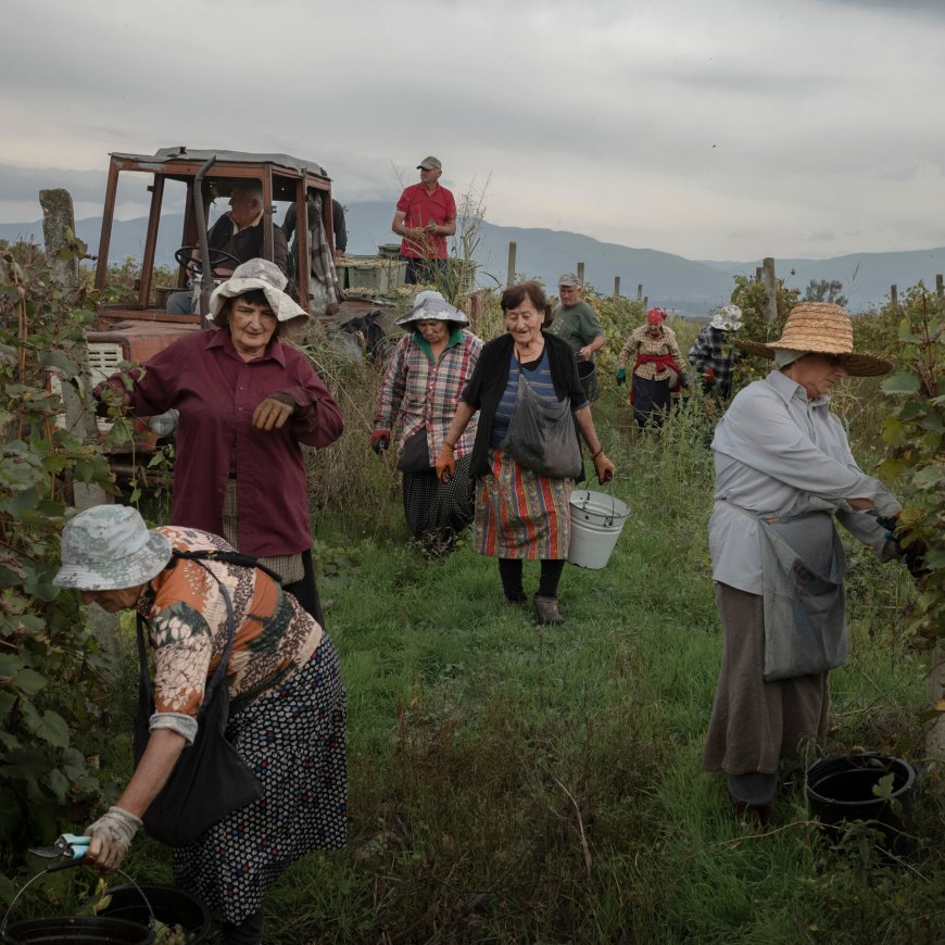 Long Tied to Russia, Georgia’s Winemakers Look to the West