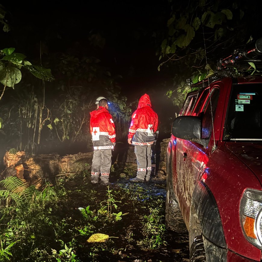 Emergency Crews Walk 14 Hours to Save Sole Survivor of Costa Rica Plane Crash