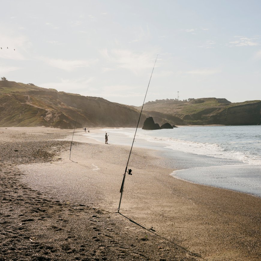 What a Marine Heat Wave Reveals About Our Warming Oceans