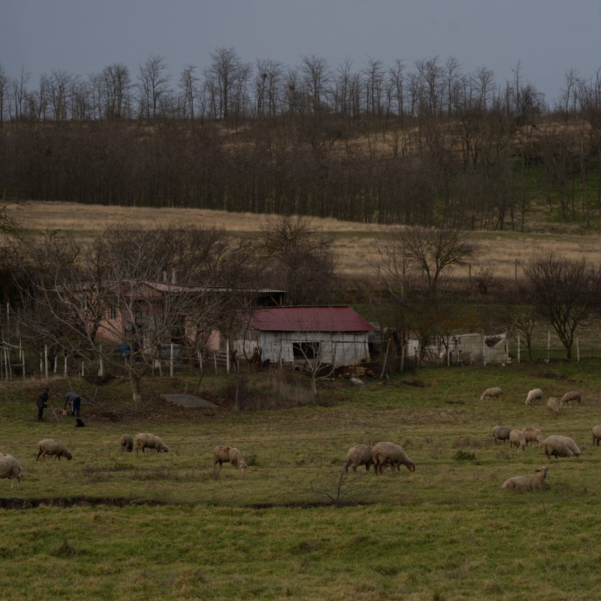 In Romanian Village, Anger Fuels Support for Ultranationalist ‘Messiah’