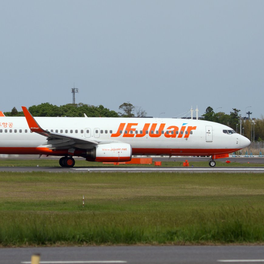 Boeing 737-800, a Precursor to the 737 Max, Is Used Widely.