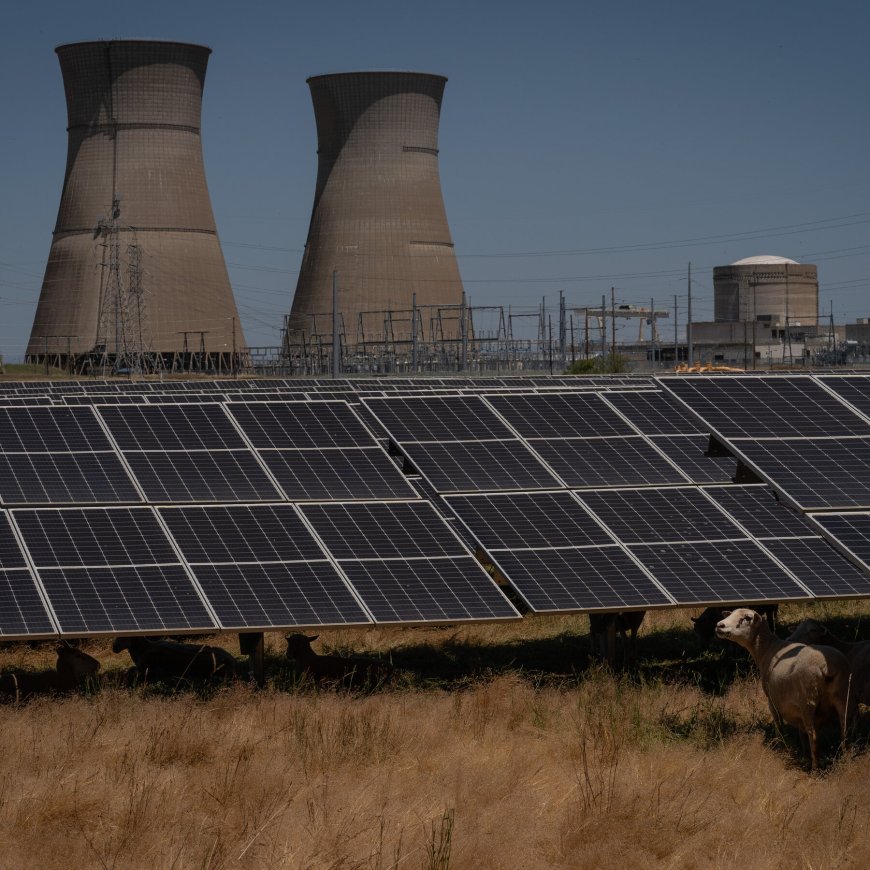 Wind and Solar Firms Have a Pitch for Trump: ‘You’re Going to Need Us’