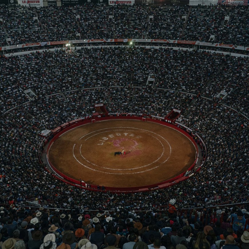 Mexico City Bans Traditional Bullfights for Violence-Free Option