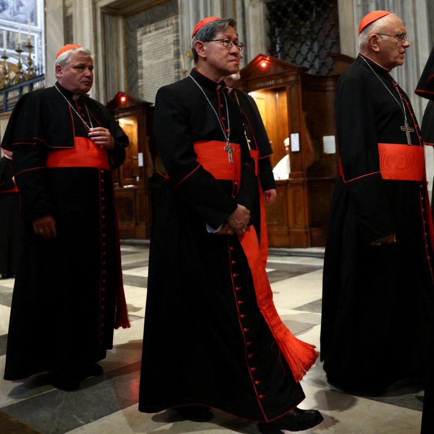 A Contender for the Papacy in the Mold of Francis