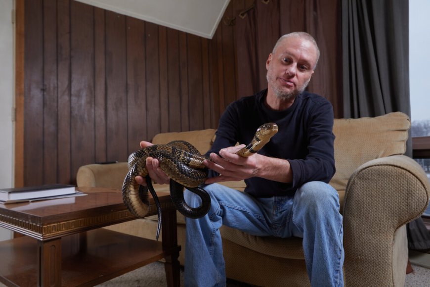 Universal Antivenom May Grow Out of Man Who Let Snakes Bite Him Hundreds of Times