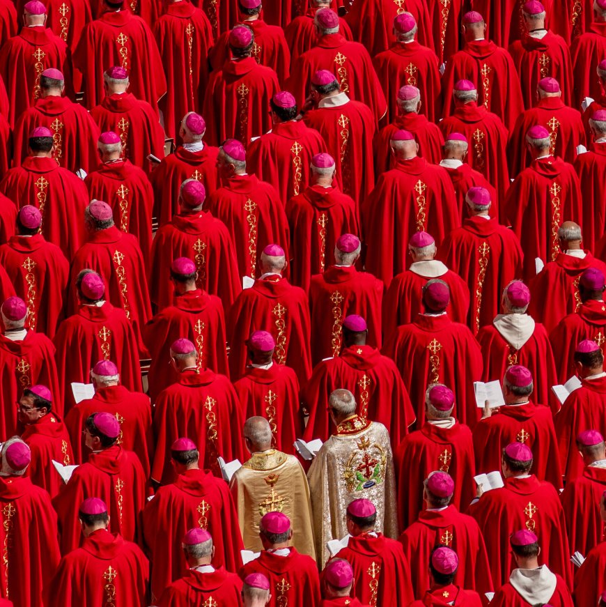 Survivors Urge Cardinals to Discuss Sex Abuse Crisis in Choosing Next Pope