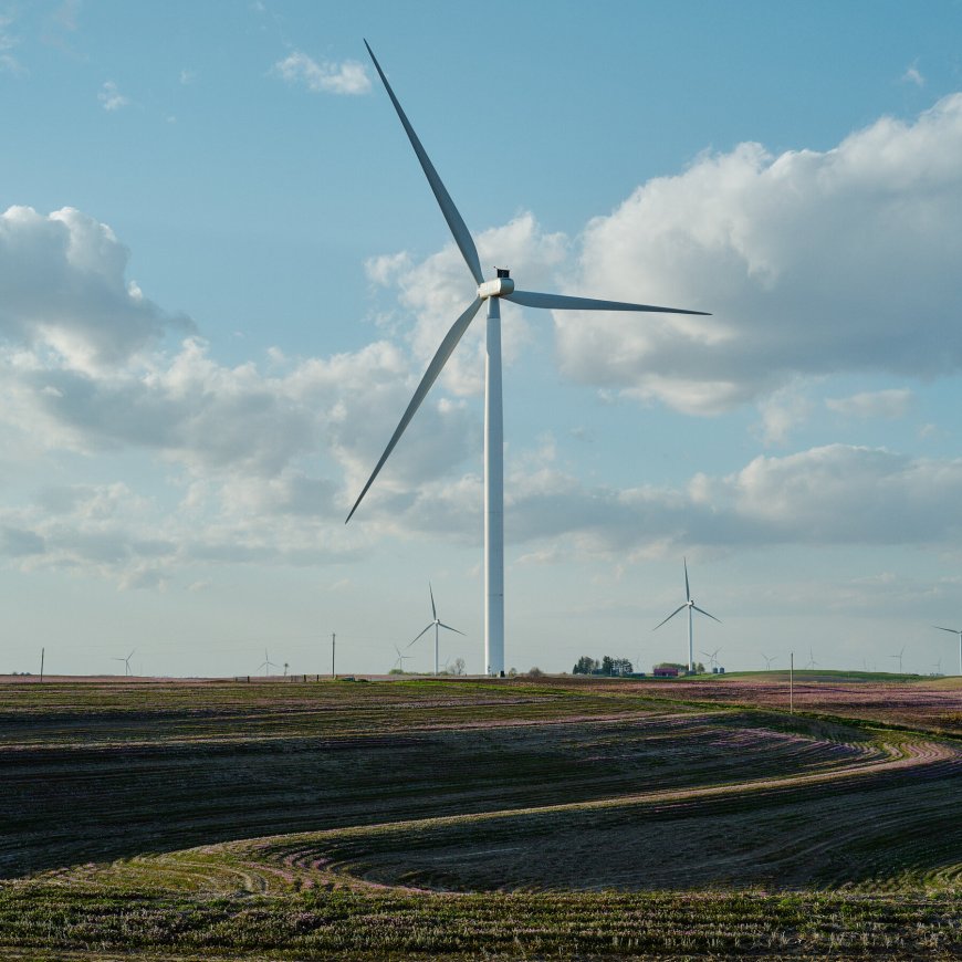 18 States Sue Over Trump’s Halting of Wind Power Projects