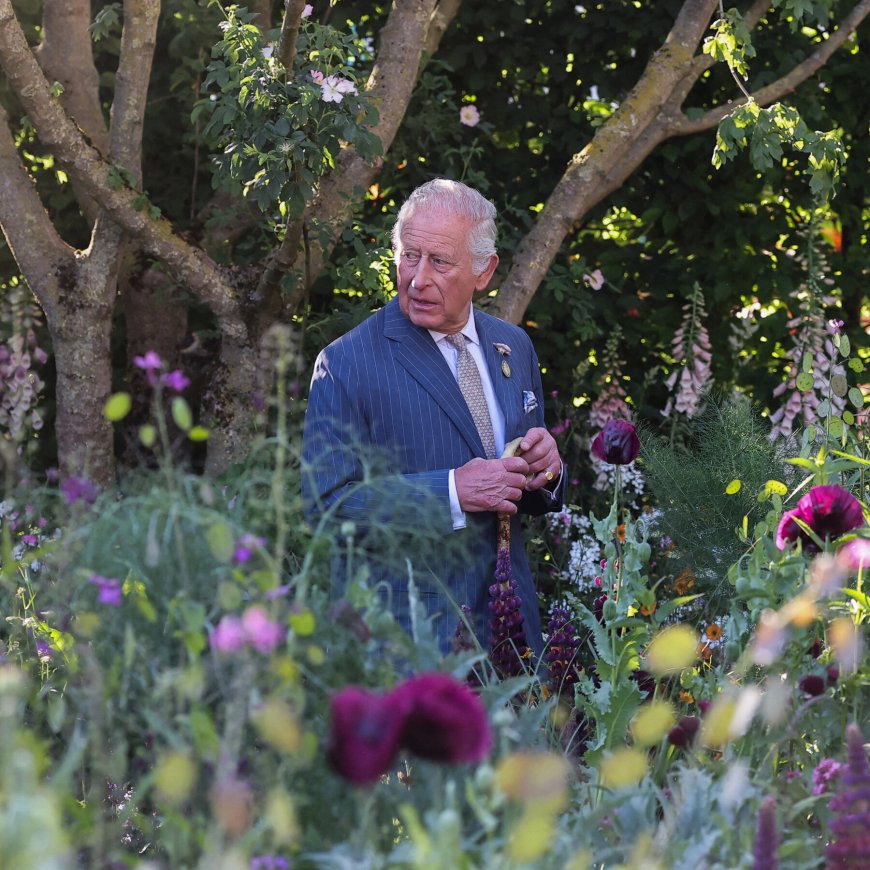 King Charles III Visits Canada: What to Know