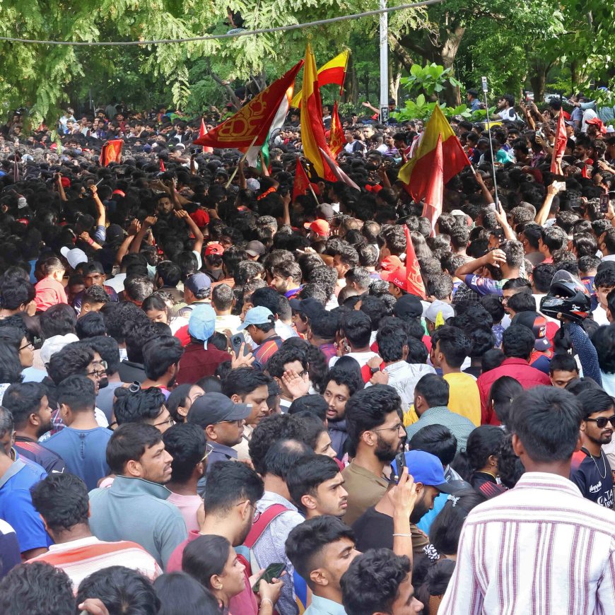 Deadly Crowd Crush Mars Celebration for Indian Cricket Championship