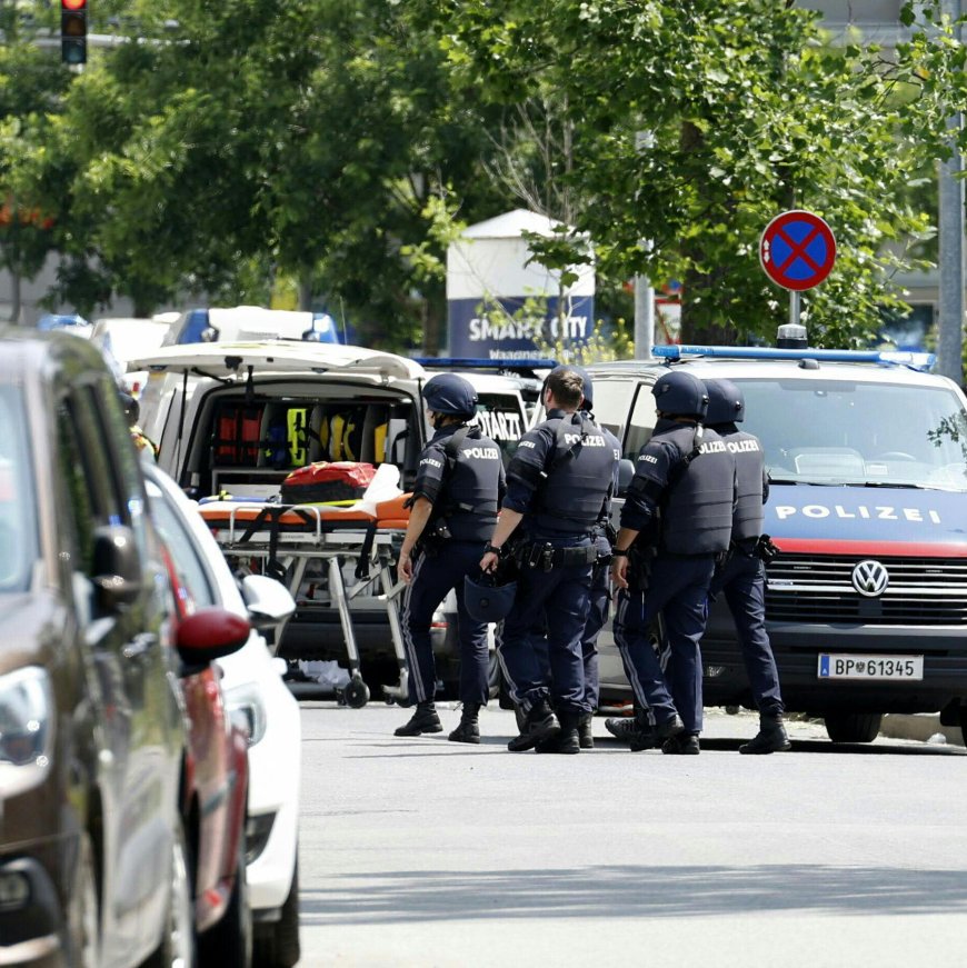 At Least 8 Killed in Austria School Shooting, Graz Mayor Says