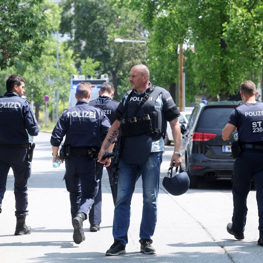 Austria Has Lots of Guns, Little Gun Violence, and New Questions