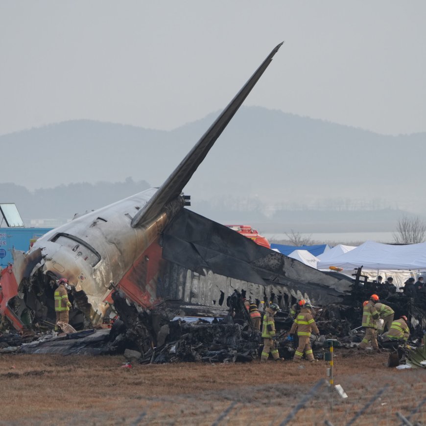 Did Jeju Air Pilots Shut Down Wrong Engine Before Deadly Crash?
