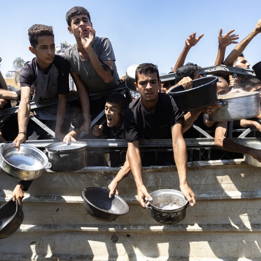 Aid Groups Blame Israel’s Siege of Gaza for ‘Mass Starvation’