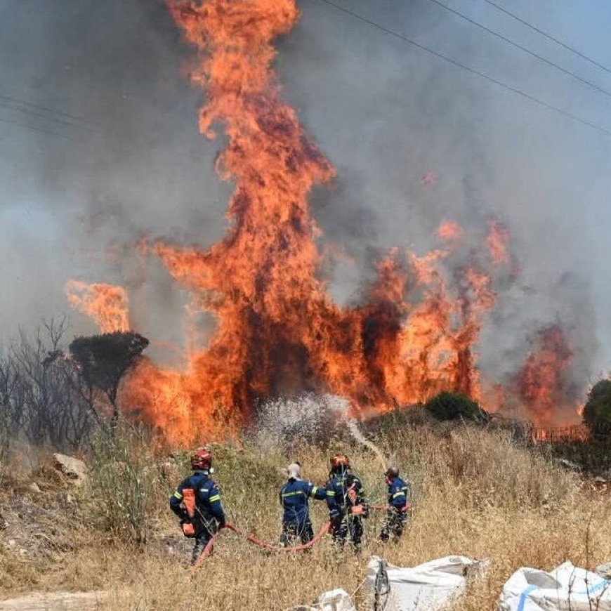 Dozens of Wildfires Burn in Greece and Turkey as Temperatures Soar