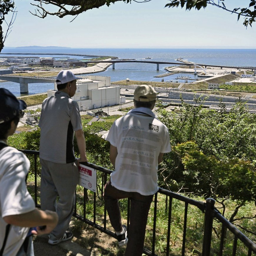 Why Did Such a Powerful Earthquake Generate Such a Weak Tsunami?