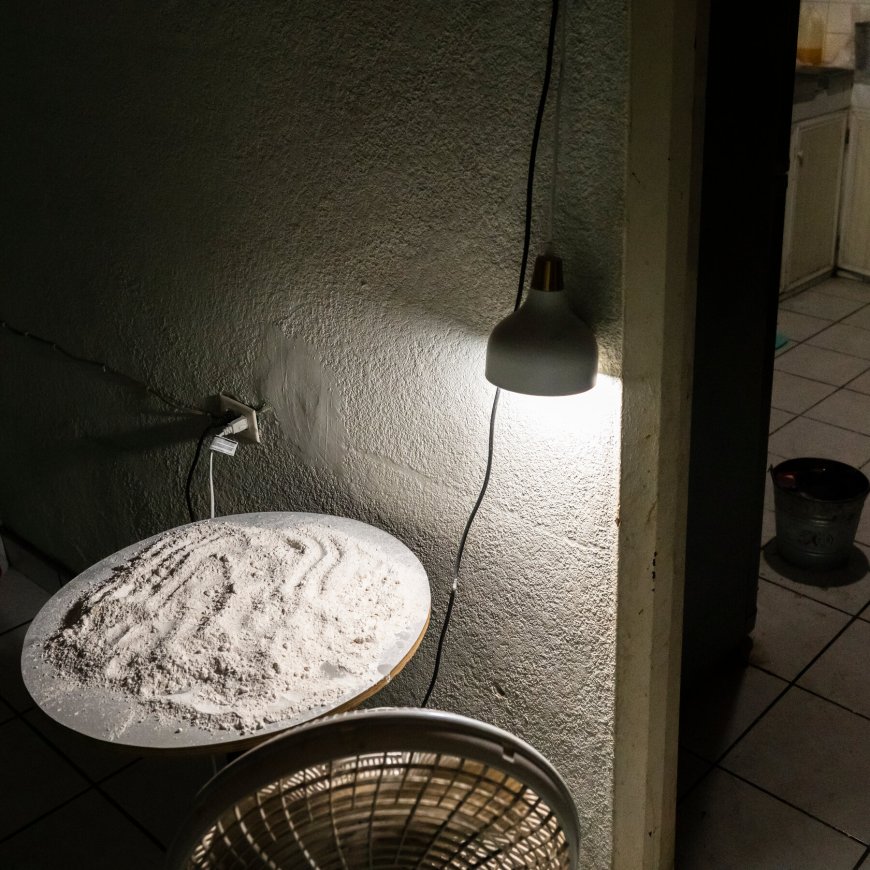 Under Pressure by Trump, Mexico Sends 26 Accused Cartel Operatives to U.S.