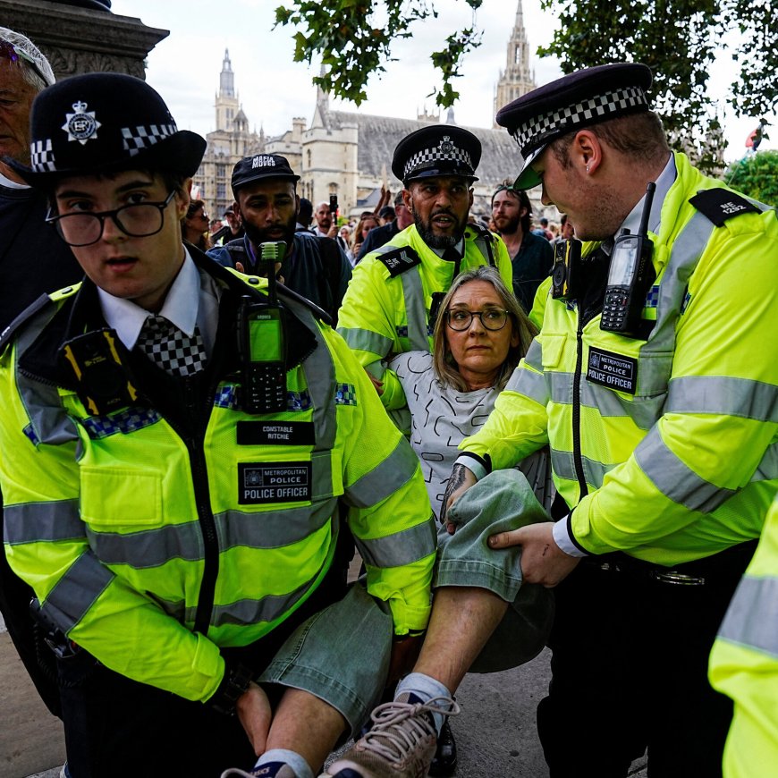 At Least 300 Pro-Palestinian Protesters Arrested in London on Terrorism Charges